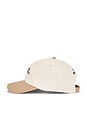 view 3 of 3 Pairs Well Dad Hat in Bone & Sand