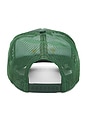 view 3 of 3 Aspire To Retire Trucker Hat in Forest