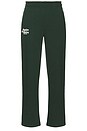 view 1 of 5 Aspire Sweatpants in Forest