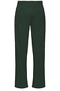 view 2 of 5 Aspire Sweatpants in Forest