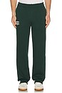 view 3 of 5 Aspire Sweatpants in Forest