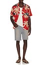 view 4 of 5 Island Shirt in Crimson & Sand