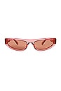 view 1 of 3 Cat Eye Sunglasses in Tulip Transparent