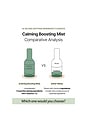 view 4 of 5 Calming Boosting Mist in 