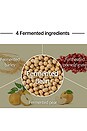 view 5 of 5 Bean Hydrogel Eye Patches in 