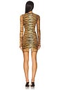 view 3 of 4 Tiger Stripes Long Sleeve Dress in Multi Brown