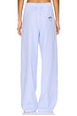 view 4 of 6 Striped Pant in Multi Light Blue