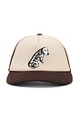 view 1 of 2 Sublime Garden Grove Dog Trucker Hat in Brown