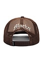 view 2 of 2 Sublime Garden Grove Dog Trucker Hat in Brown