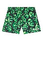view 4 of 5 x Shrek All Over Print Mesh Shorts in Multi