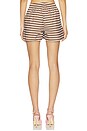 view 4 of 6 SHORT in Brown Stripes