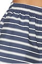 view 6 of 6 Shorts in Blue Stripes