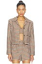 view 1 of 6 BLOUSON in Brown Stripes
