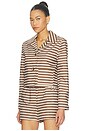 view 3 of 6 BLOUSON in Brown Stripes