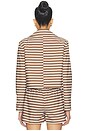 view 4 of 6 BLOUSON in Brown Stripes