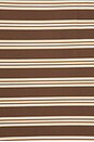 view 6 of 6 BLOUSON in Brown Stripes