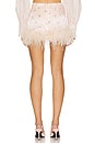 view 4 of 6 Mini Skirt With Feathers in Pink Rose