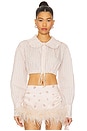 view 1 of 5 Crop Shirt With Collar in Coral Stripes