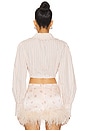 view 3 of 5 Crop Shirt With Collar in Coral Stripes
