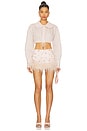 view 4 of 5 Crop Shirt With Collar in Coral Stripes