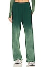 view 1 of 4 Theoden Wide Leg Pant in Vintage Emerald