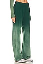 view 2 of 4 Theoden Wide Leg Pant in Vintage Emerald