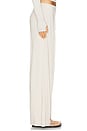 view 3 of 6 Vox Pleated Pant in Cloud