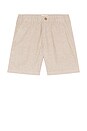view 4 of 4 SHORT CHINO SATURDAY in Taupe