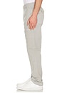 view 4 of 4 PANTALONES BREYER in Light Grey