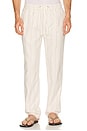 view 1 of 5 Saturday Hemp Beach Pant Slim Straight in Natural & Brown Stripe