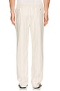 view 3 of 5 Saturday Hemp Beach Pant Slim Straight in Natural & Brown Stripe