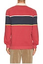view 2 of 5 Sueded Rugby Polo in Garnet Rose