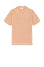 view 1 of 3 Conrad Sweater Polo in Undone Earth