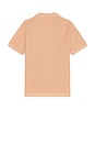 view 2 of 3 Conrad Sweater Polo in Undone Earth