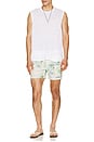 view 3 of 5 MAILLOT DE BAIN NA in Mediterranean Coastline Print