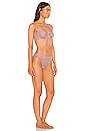 view 2 of 3 Mesh Clip Dot Balconette Bra & Panty Set in Lavender