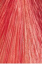view 5 of 5 VESTIDO RACHEL in Blood Orange
