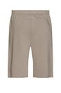view 2 of 6 Shorts in Taupe
