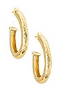 view 1 of 2 Kitty Hoops in Gold