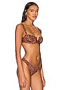 view 2 of 4 Clovelly Bikini Top in Dark Jaguar