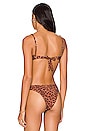 view 3 of 4 Clovelly Bikini Top in Dark Jaguar