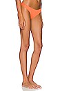 view 2 of 4 Byron Bikini Bottom in Cantaloupe
