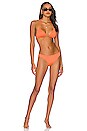 view 4 of 4 Byron Bikini Bottom in Cantaloupe