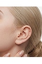 view 5 of 7 Ear Seeds in 