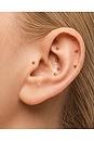 view 8 of 7 Ear Seeds in 