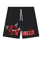 view 6 of 7 NBA Chicago Bulls Best in Class 7