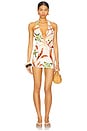 view 1 of 3 Tropez Mini Dress in Rooted Floral
