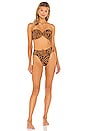 view 4 of 4 Mama Bikini Top in Tigre Scrunch