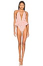 view 1 of 3 Pampas One Piece in Shrimp Gingham