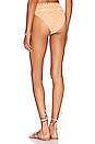view 3 of 4 Tamarindo Bikini Bottom in Neon Stripe